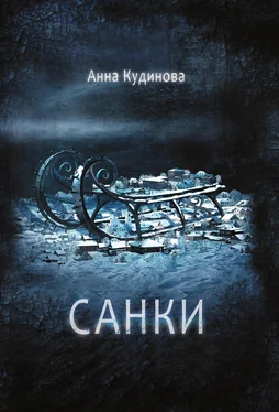 Анна Кудинова Санки [litres] обложка книги
