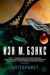 Иэн Бэнкс - Алгебраист [litres]