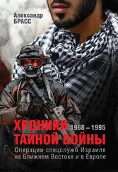 Александр Брасс - Хроники тайной войны. 1968–1995. Операции спецслужб Израиля на Ближнем Востоке и в Европе