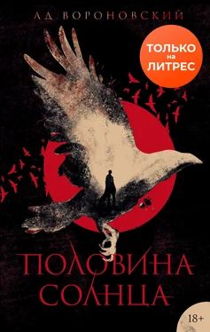 Ад Вороновский Половина солнца обложка книги