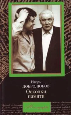 Игорь Добролюбов Осколки памяти обложка книги