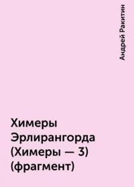 Андрей Ракитин Химеры Эрлирангорда [фрагмент] обложка книги