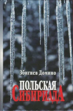 Збигнев Домино Польская Сибириада обложка книги