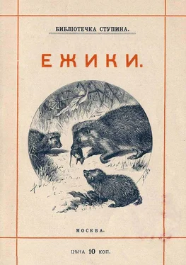 Михаил Куклин Ёжики [1905 г. Совр. орф.] обложка книги