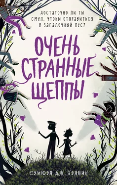 Сэмюэл Хэлпин Очень странные Щеппы [litres] обложка книги