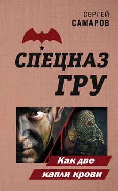 Сергей Самаров Как две капли крови обложка книги