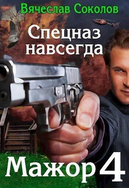 Вячеслав Соколов Спецназ навсегда [СИ] обложка книги