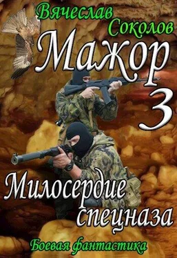 Вячеслав Соколов Милосердие спецназа [СИ] обложка книги