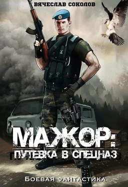 Вячеслав Соколов Путёвка в спецназ [СИ] обложка книги