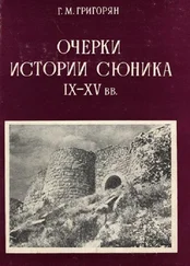 Григор Григорян - Очерки истории Сюника. IX–XV вв.