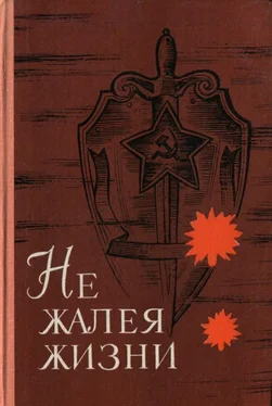 Кемель Токаев Не жалея жизни обложка книги