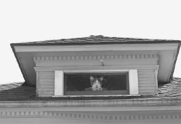 Ведущий игры оценивает вашу интуицию Если вас сбивает с толку это задание и - фото 4