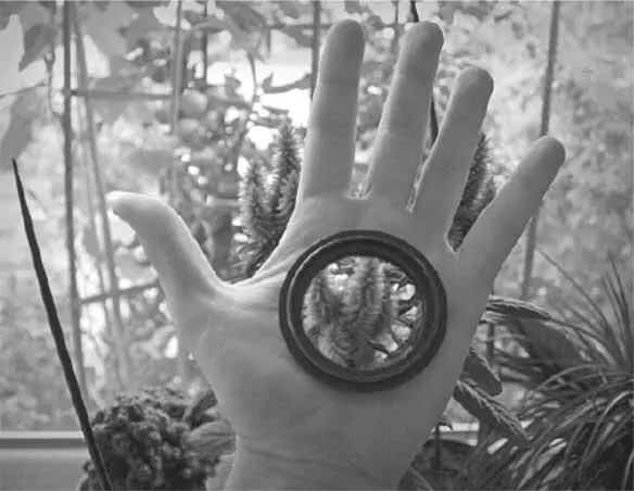 Некоторые скорее дадут проткнуть им руку чем займутся математикой Однако - фото 6