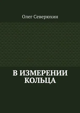 Олег Северюхин В измерении Кольца обложка книги