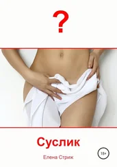 Елена Стриж - Суслик