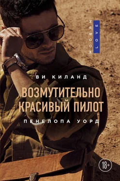 Ви Киланд Возмутительно красивый пилот обложка книги