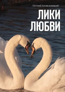 Евгений Крушельницкий Лики любви обложка книги