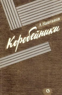 Арнольд Каштанов Коробейники обложка книги