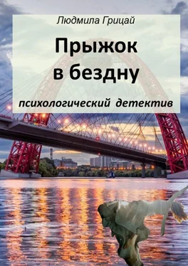 Людмила Грицай Прыжок в бездну обложка книги
