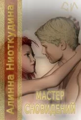 Алинна Ниоткудина - Мастер сновидений