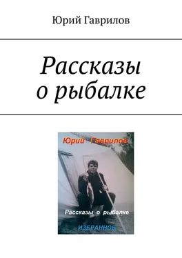 Юрий Гаврилов Рассказы о рыбалке обложка книги