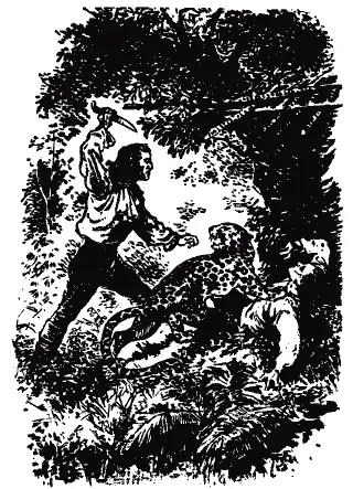 Животное уже издыхало но Грелли измазанный в крови и сам похожий на дикого - фото 16