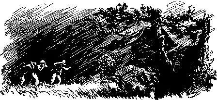 Скорее в палатку скомандовал Том Они бросились бежать врассыпную - фото 17