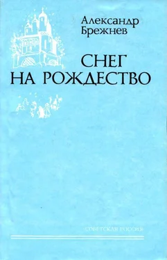 Александр Брежнев Снег на Рождество обложка книги