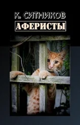 Кирилл Ситников - Аферисты