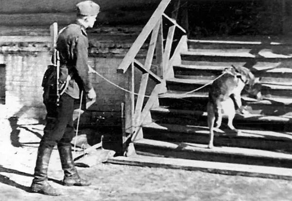 Поиск минсюрпризов 1944 г 37й ОБСМ Перед выездом на задание - фото 6
