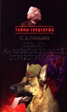 Светлана Гладыш Собаки на фронтах Великой Отечественной обложка книги