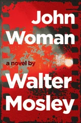 Уолтер Мосли - John Woman