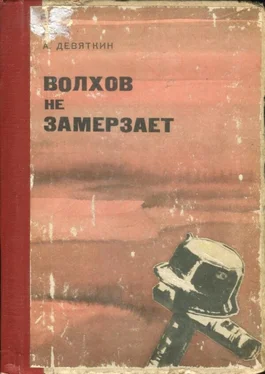 Абрам Девяткин Волхов не замерзает обложка книги