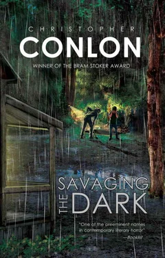 Christopher Conlon Savaging the Dark обложка книги