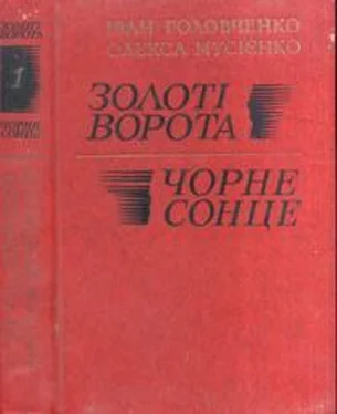 Іван Головченко Золоті ворота обложка книги