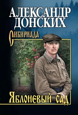 Александр Донских Яблоневый сад [litres] обложка книги