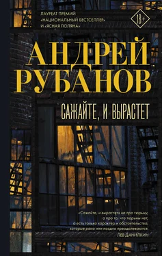 Андрей Рубанов Сажайте, и вырастет [litres] обложка книги