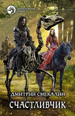 Дмитрий Смекалин Счастливчик [litres] обложка книги
