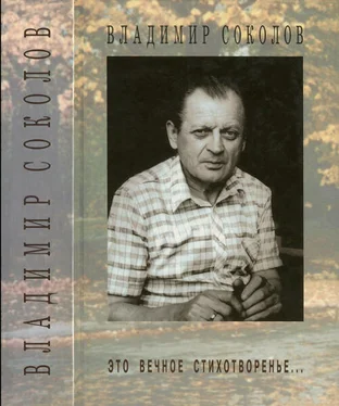 Владимир Соколов Это вечное стихотворенье... обложка книги