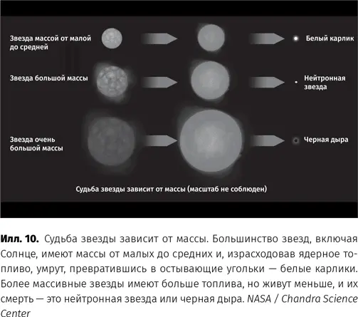 Звезды массивнее Солнца живут меньше и ярче Они ведут себя так же как Солнце - фото 11