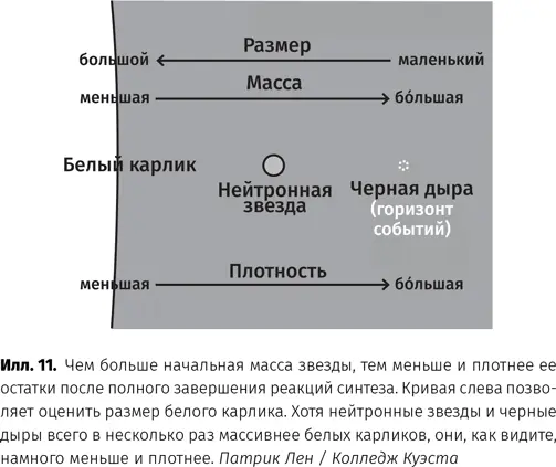 Спустя семь лет разразилась полемика Нобелевскую премию за открытие пульсаров - фото 12