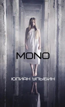 Юлиан Улыбин MONO обложка книги