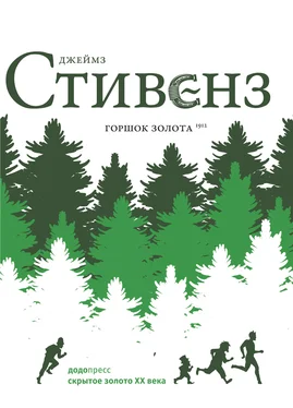 Джеймз Стивенз Горшок золота обложка книги