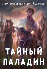 Антон Емельянов - Тайный паладин [СИ litres]