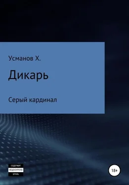 Хайдарали Усманов Серый кардинал обложка книги