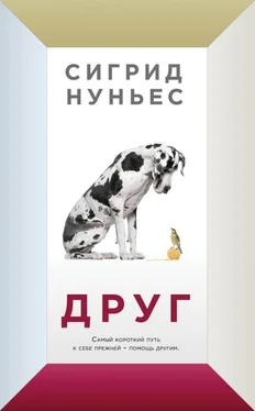 Сигрид Нуньес Друг обложка книги