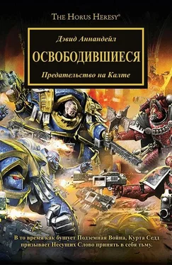 Дэвид Эннендэйл Освободившиеся обложка книги