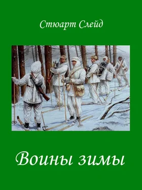 Стюарт Слейд Воины зимы [Winter Warriors ru] обложка книги