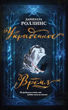 Даниэлла Роллинс Украденное время обложка книги