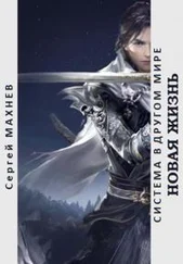 Сергей Махнев - Новая жизнь [СИ]